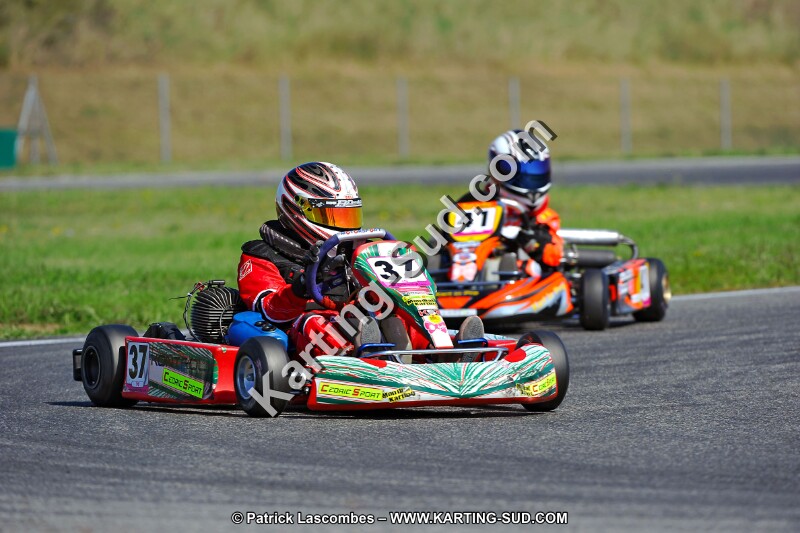 DSC_ (1261).jpg